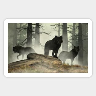 Black Wolves Sticker